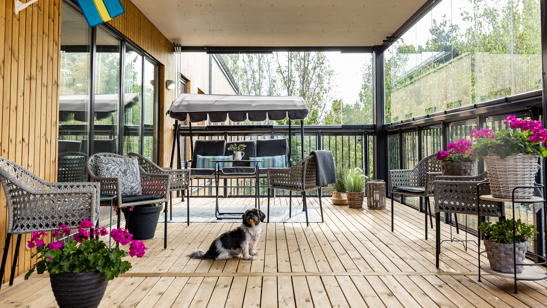 Lydiahemmets terrass med hamock, blommor och liten hund i förgrunden