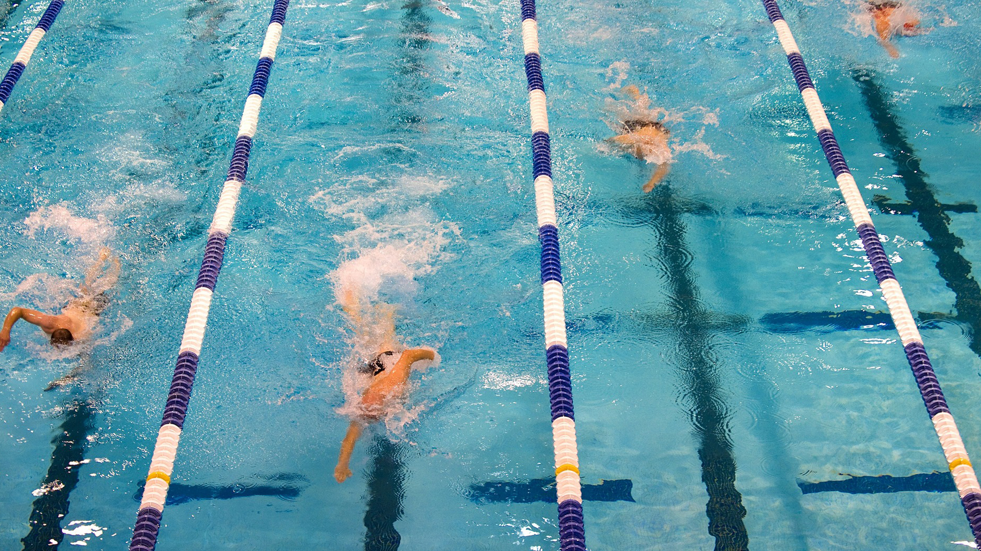 simbassäng med simmare i olika simbanor