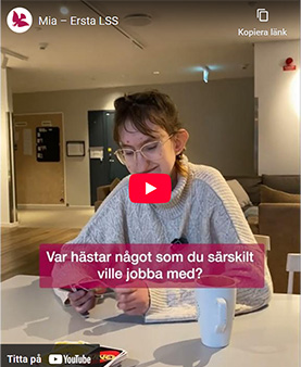 LSS-youtube2.jpg