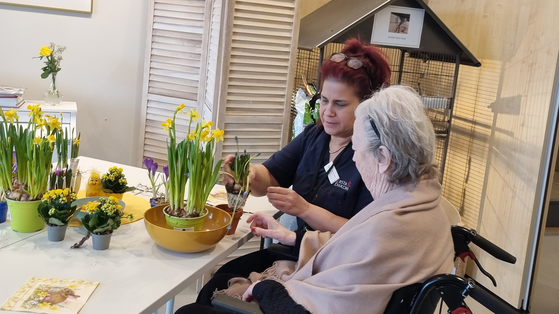 bild på marisol som planterar blommor ihop med en äldre dam