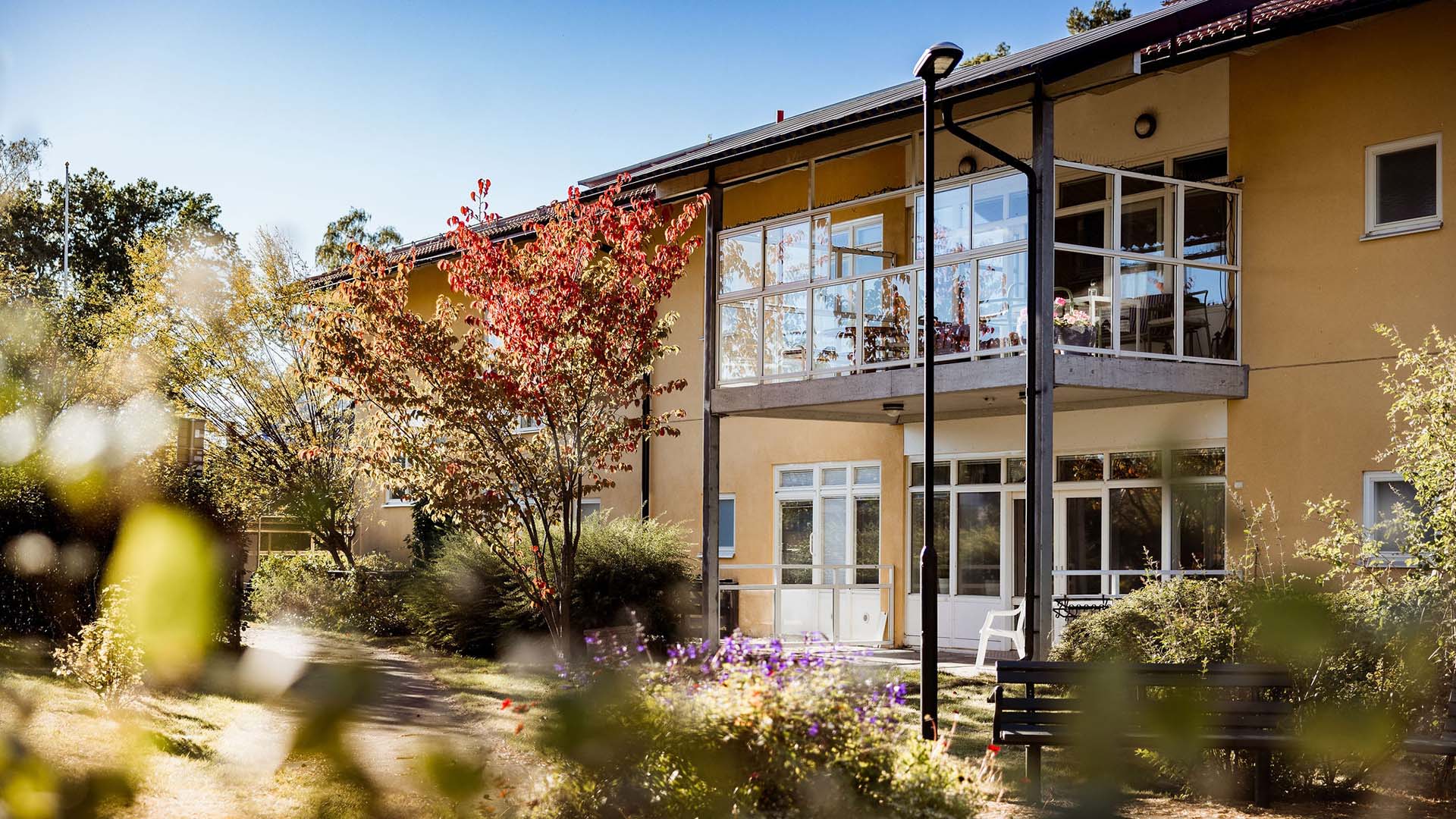 bild fr&aring;n g&aring;rden p&aring; johanneslund, g&aring;rd med en b&auml;nk att sitta p&aring;