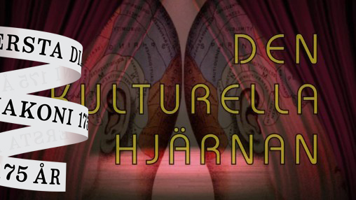Bild från SVT Play om "Den kulturella hjärnan"