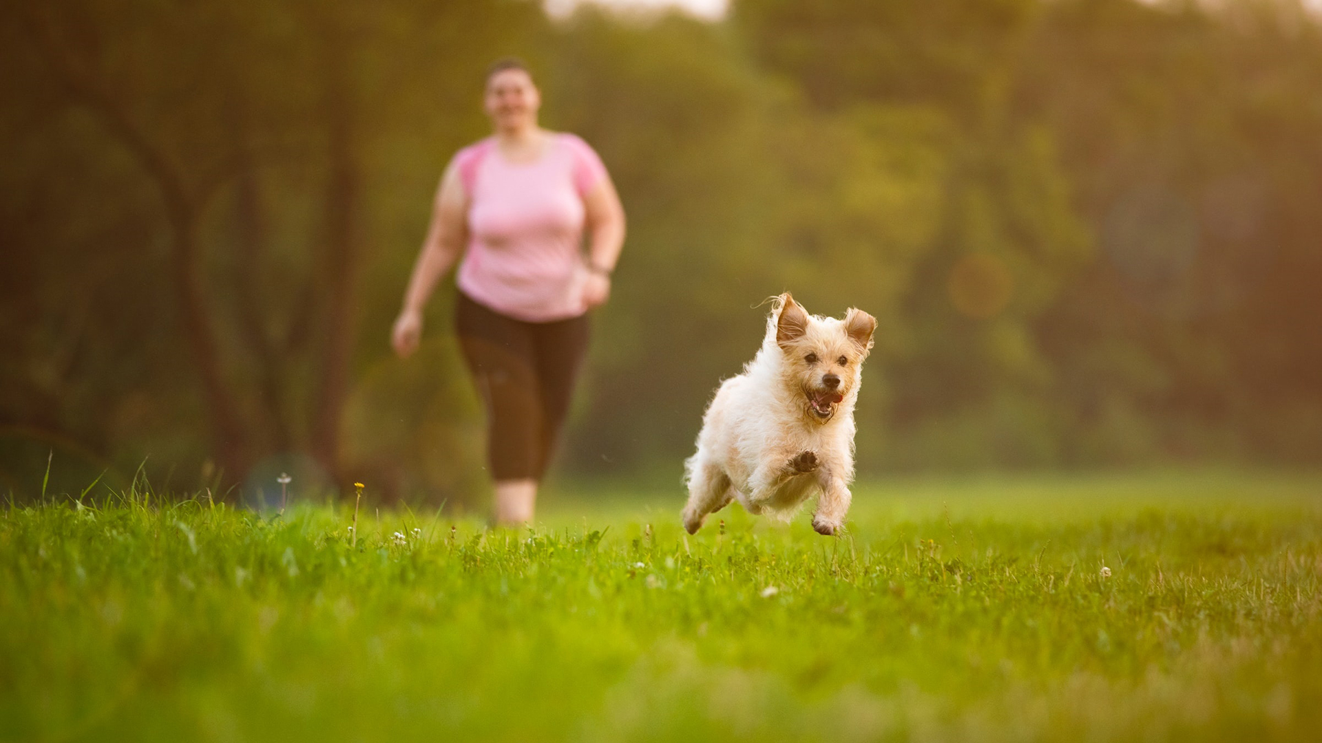kvinna på promenad med hund