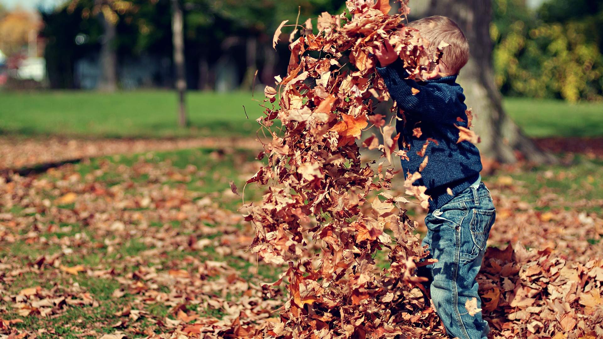 pojke lekar bland fallna höstlöv