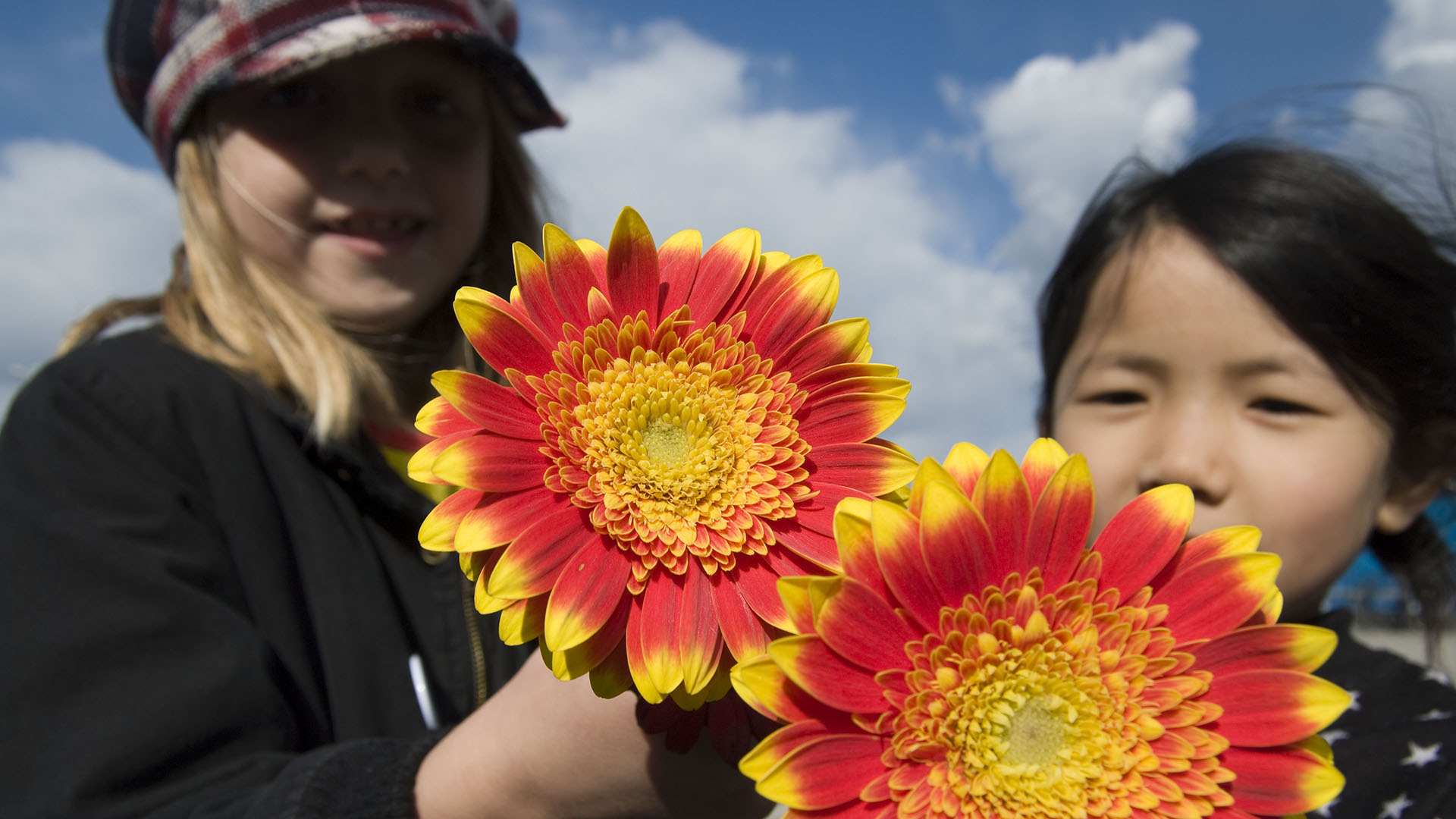 Två unga flickor står bakom två gulröda blommor